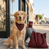 Bandana & Tote Bundle